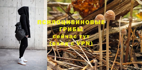 шишки Заволжск