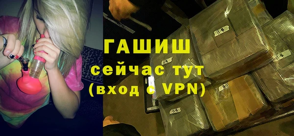 меф Ельня
