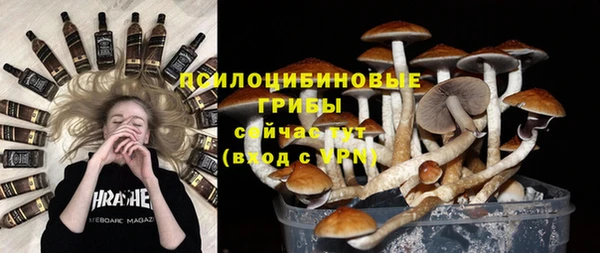 меф Ельня
