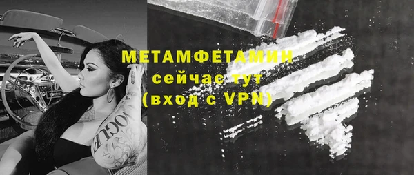 шишки Заволжск