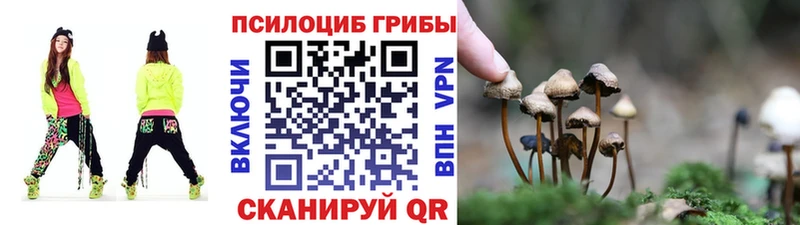 Купить  Морозовск  Псилоцибиновые грибы Magic Shrooms 