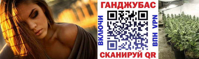 Купить  Морозовск  Канабис сатива 